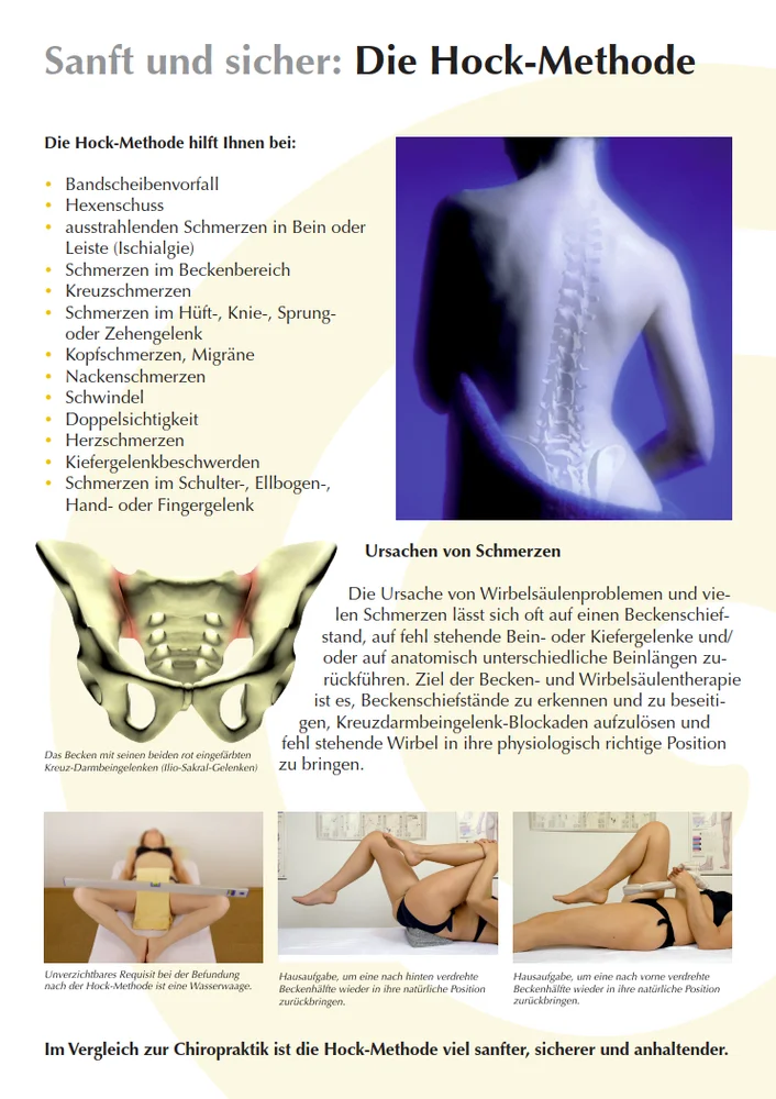 Hock-Methode · A3-Plakat